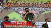 Grasstrack Trail