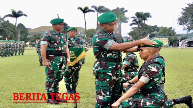Pembaretan