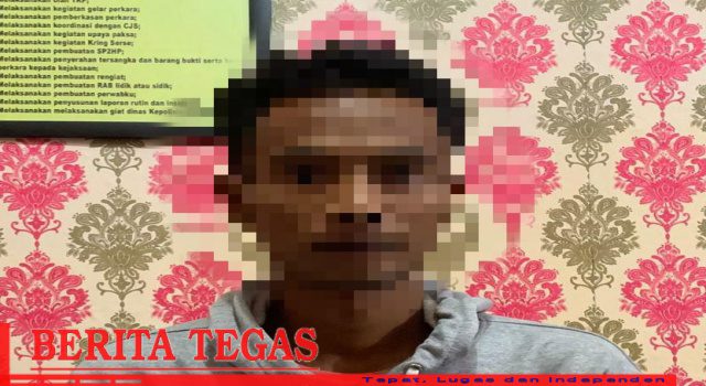 IMG_20221220_222243 Curi HP