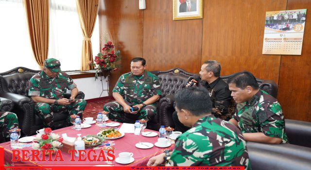 Panglima TNI