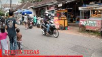 IMG_20230405_183247 Pucang
