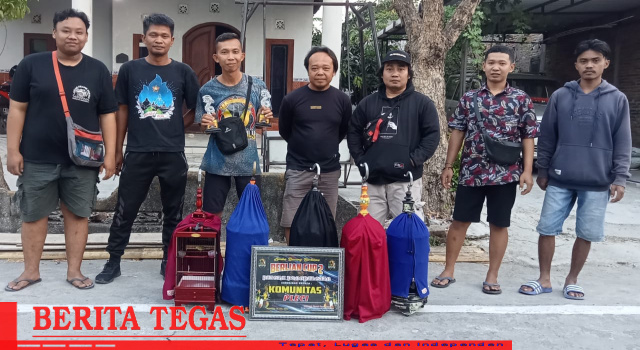 IMG_20230730_185319 Pleci