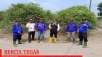 Pemdes Palemraya