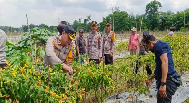 Balangan