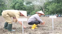 Balangan
