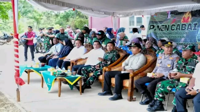 IMG-20260114-panen cabai Cabai-Berita Tegas