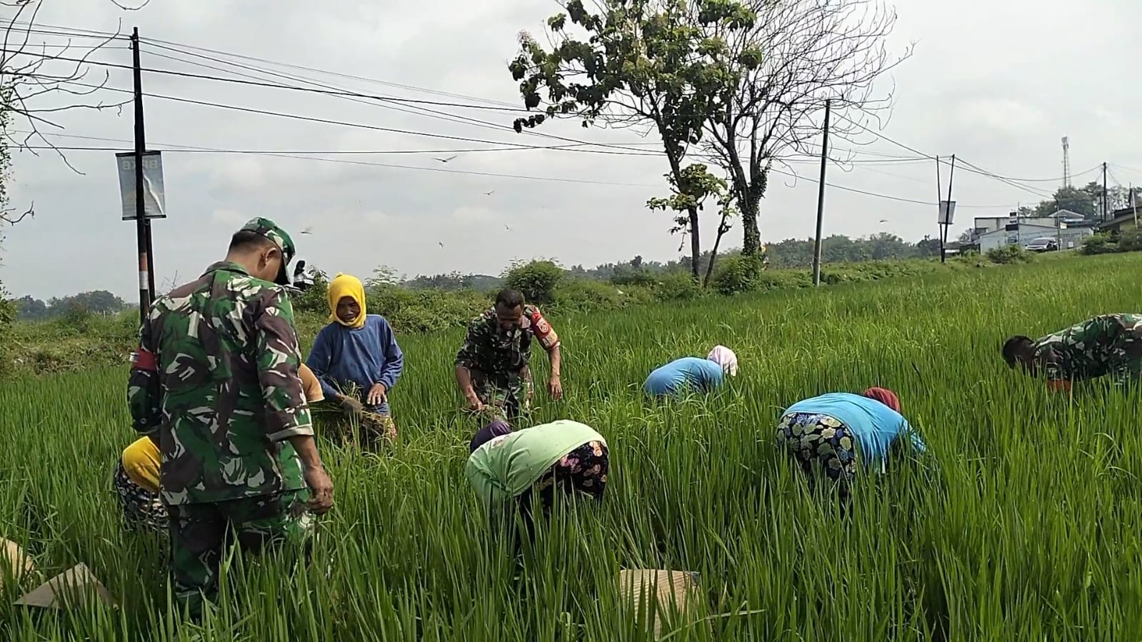 IMG-20260902-WA0004 SRAGEN