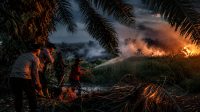 IMG_20260902_081612