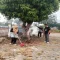 IMG_20261009_113751 GOTONG ROYONG