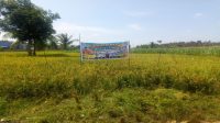 KARIMUN